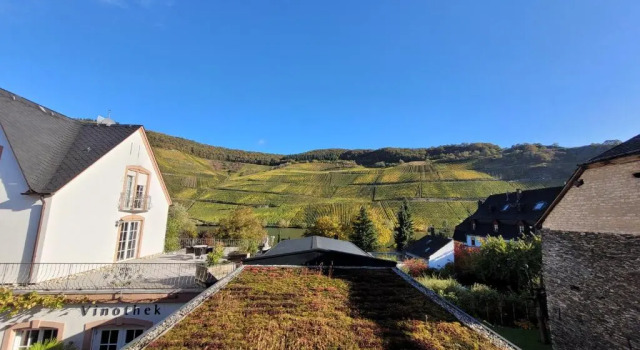 Номер Deluxe Weingut Lehnert-Veit Gutshotel