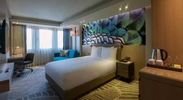 Двухместный номер Deluxe DoubleTree by Hilton Istanbul - Sirkeci