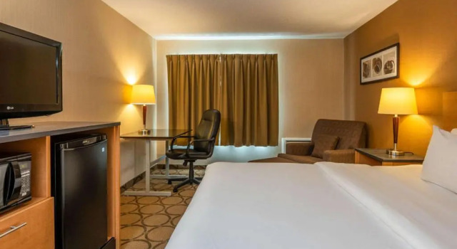 Двухместный номер Standard Цокольный этаж Comfort Inn
