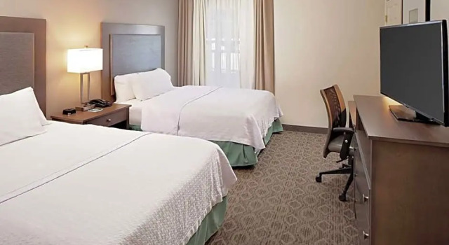 Четырёхместный номер Standard Homewood Suites by Hilton Hartford-Farmington