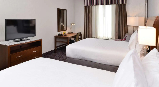 Номер Standard Hilton Garden Inn Hobbs