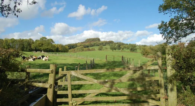 Orchard Barn, Woodhayes, Book Hotel Hoteller i Honiton med parkering, Parkering