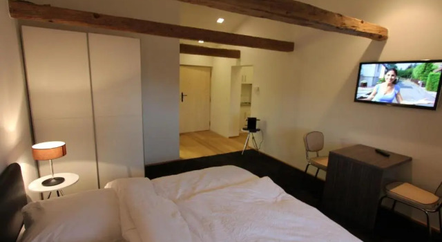 Апартаменты Standard Appartements Bad Birnbach