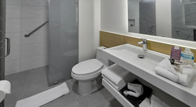 Двухместный номер Standard City Express Plus by Marriott Tampico
