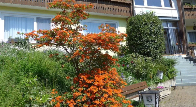 Hotel Pension Zur Steinburg, Reservar Hotel Bad Grund Lower-Saxony