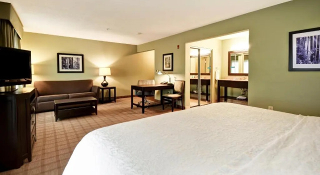 Люкс Hampton Inn & Suites Detroit-Canton