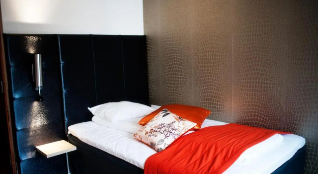 Одноместный номер Standard Comfort Hotel Park