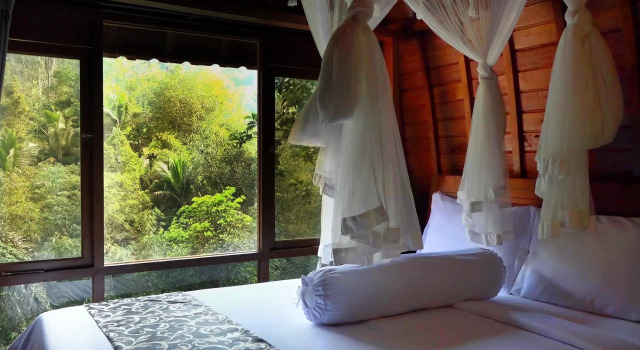 Номер Standard Bali Jungle Resort