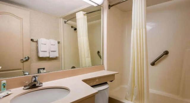 Номер Standard Quality Inn & Suites Tarpon Springs South