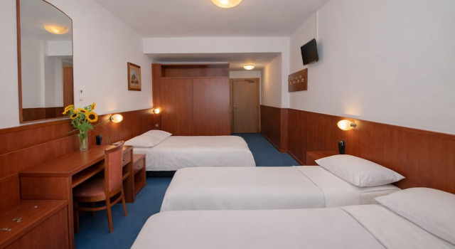 Трёхместный семейный номер Standard с видом на сад Hotel Garden NEW MANAGEMENT