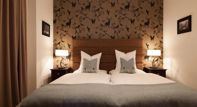 Двухместный номер Standard Hotel-Restaurant Bellevue