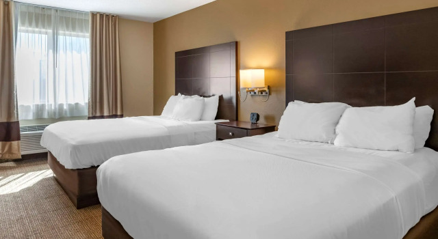 Четырёхместный номер Standard Comfort Inn & Suites Paw Paw