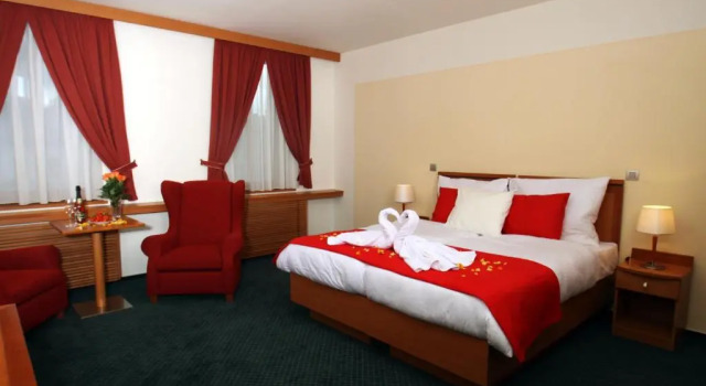 Двухместный номер Standard Hotel Slovan