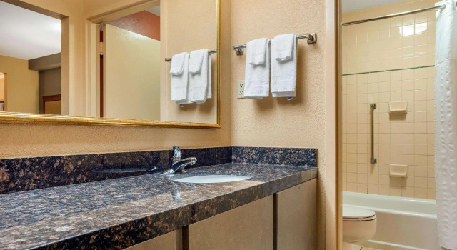 Четырёхместный люкс Econo Lodge Inn & Suites Foley-North Gulf Shores