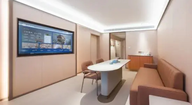 Люкс Deluxe HanTing Hotel (Dancheng)