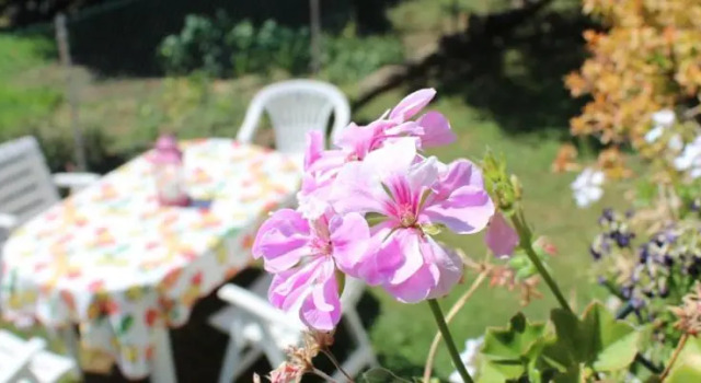B&B Via Roma, Buchen Sie Bed & Breakfast Cesate 