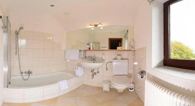 Трёхместный номер Standard Hotel Maximilian