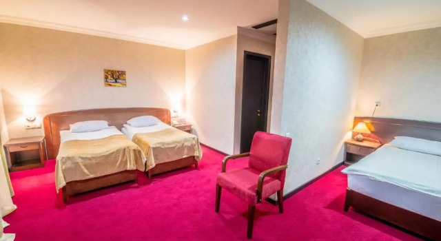 Трёхместный номер Standard Kopala Tskneti Hotel