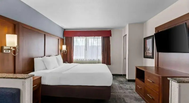 Одноместный люкс Business Comfort Suites Denver Tech Center