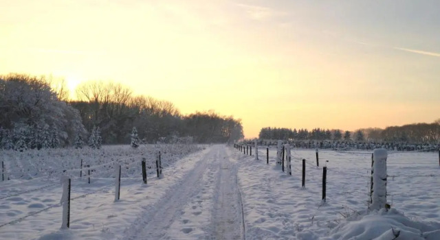 Двухместный номер Deluxe B&B Roodbeekerhof