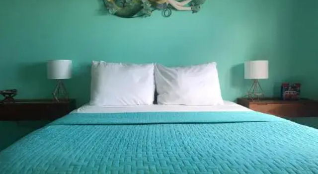 Flamboyan Guest House, Rezervovat Penzión Penziony v Ceiba, Penzión
