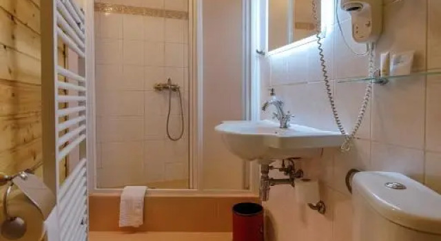 Номер Economy Hotel Zlatý Orel