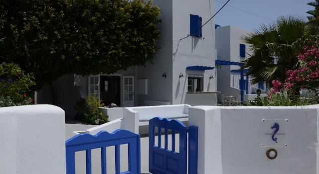 Hippocampus Hotel