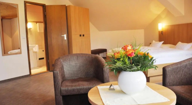 Трёхместный номер Standard Hotel Fortuna