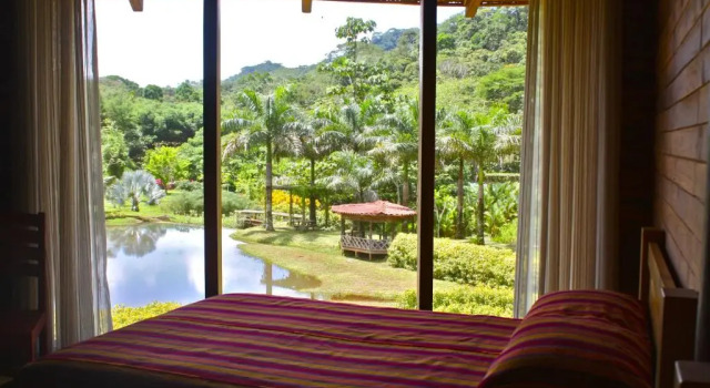Двухместный номер Standard с видом на сад Macaw Lodge