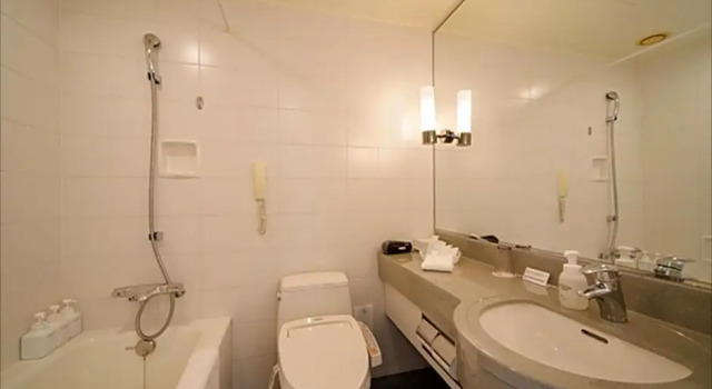 Superior Zimmer Hotel Nikko Niigata