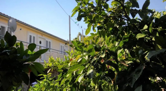 Студия Guesthouse Gradina