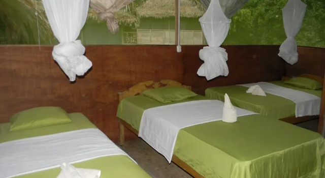 Номер Standard Jacamar Lodge Expeditions