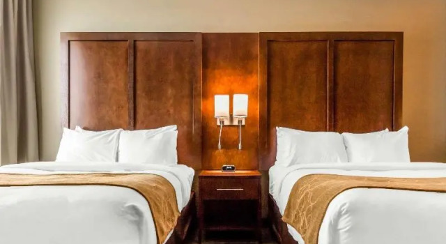 Номер Standard Comfort Suites University Brookings