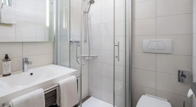 Одноместный номер Business Hotel Schwanen