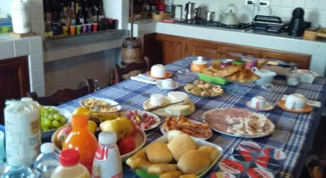 Casa Ramonda