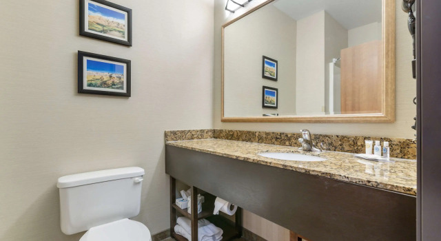 Четырёхместный люкс Comfort Inn & Suites