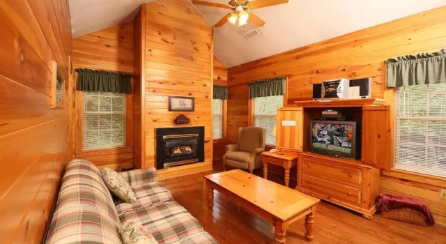 Cherry Blossom 11 3 Br cabin by RedAwning
