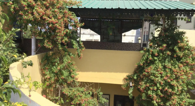 Mewar Inn, Rezervovat Hotel Hotely v Rajasthan s parkováním, Parkování