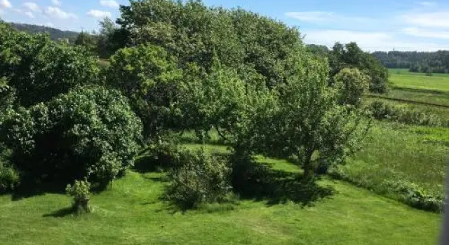 Orrekläpp, Book Hotel  