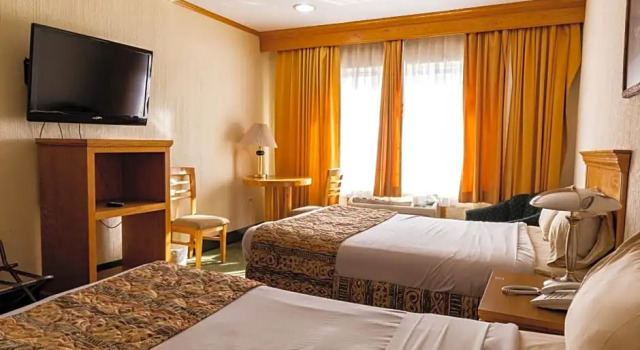Номер Deluxe Hotel Sicomoro