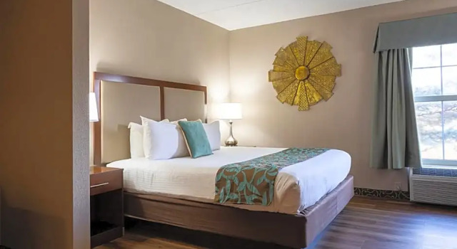 Двухместная студия D. Hotel Suites & Spa