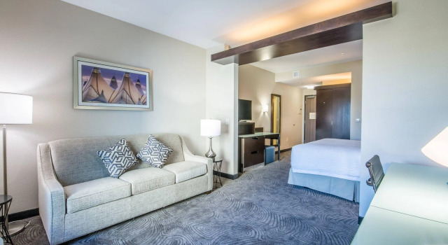 Двухместный люкс Fairfield Inn & Suites by Marriott Denver Downtown