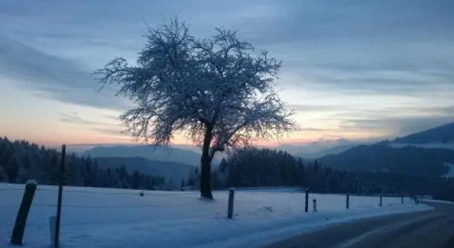 Turistična kmetija Ramšak, Buchen Sie Bauernhof Zreče Rogla