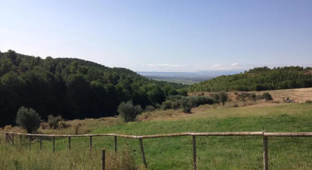 Апартаменты Apartamento Turistico Cigüeña de Arguedas