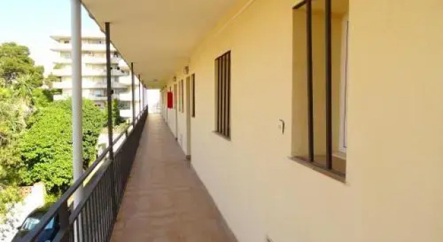Rex Apartment