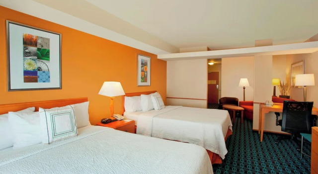Люкс Fairfield Inn & Suites by Marriott Detroit Metro Airport Romulus