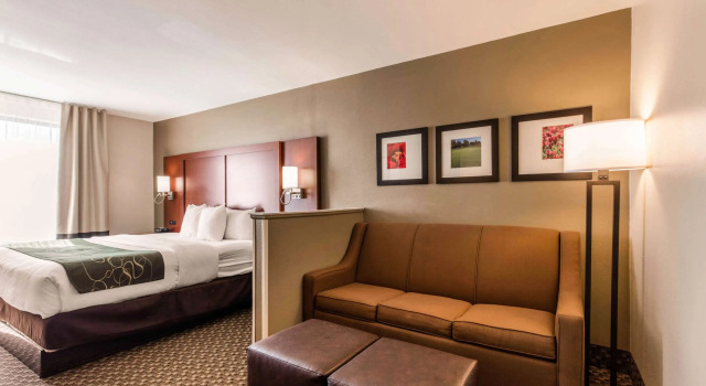 Двухместный люкс Comfort Suites Tuscaloosa near University
