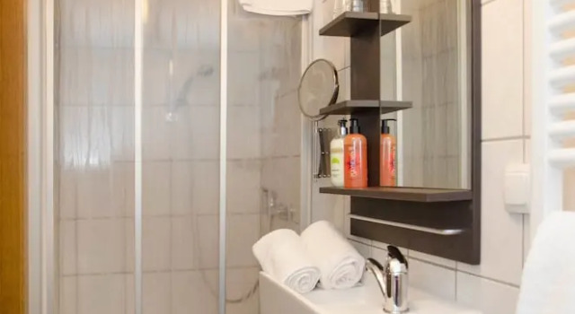 Одноместный номер Standard Aparthotel Paradies