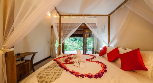 Infinity Jungle View Aashaya Villa Ubud