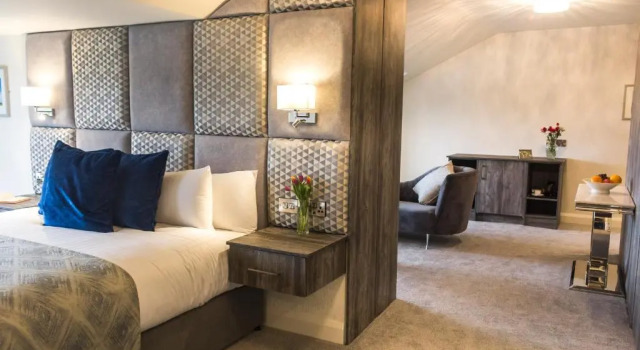 Люкс Deluxe Mill Park Hotel
